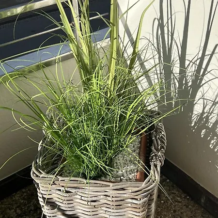 Apartment See-luen Westerland
